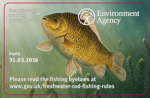 New designs for 2015/16 rod licences by renowned wildlife artist, David Miller