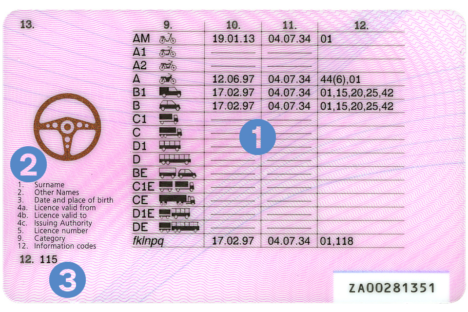 New driving licence photocard licence Example A