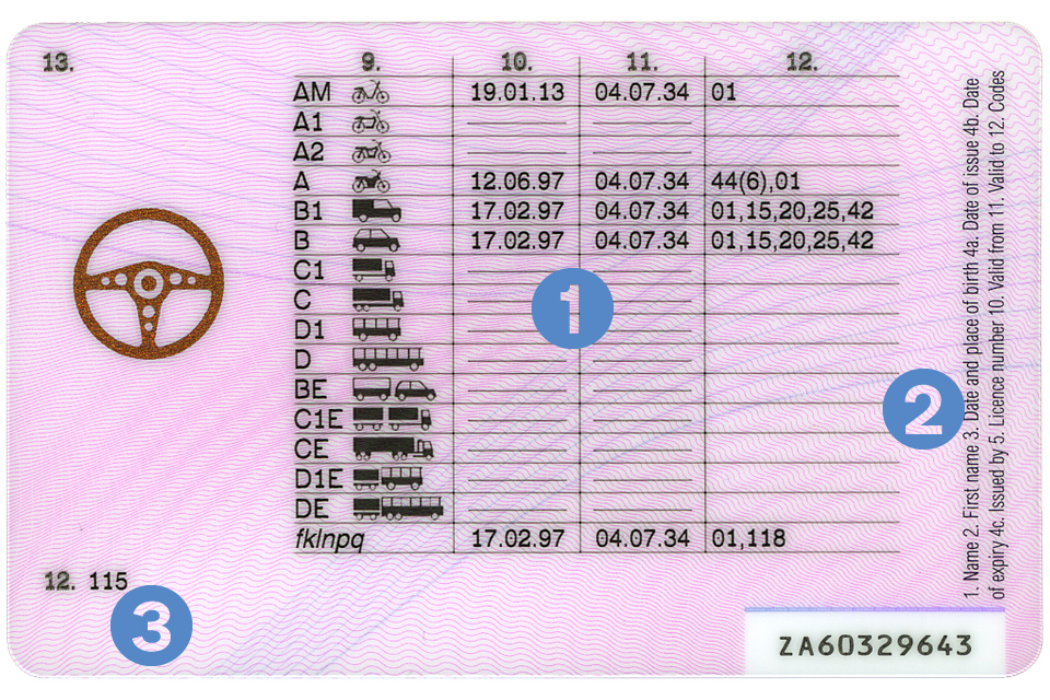 Driving licence photocard licence - example B
