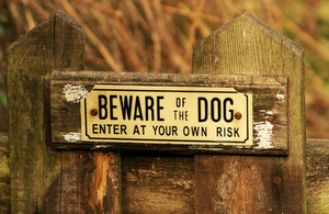 Dangerous dogs