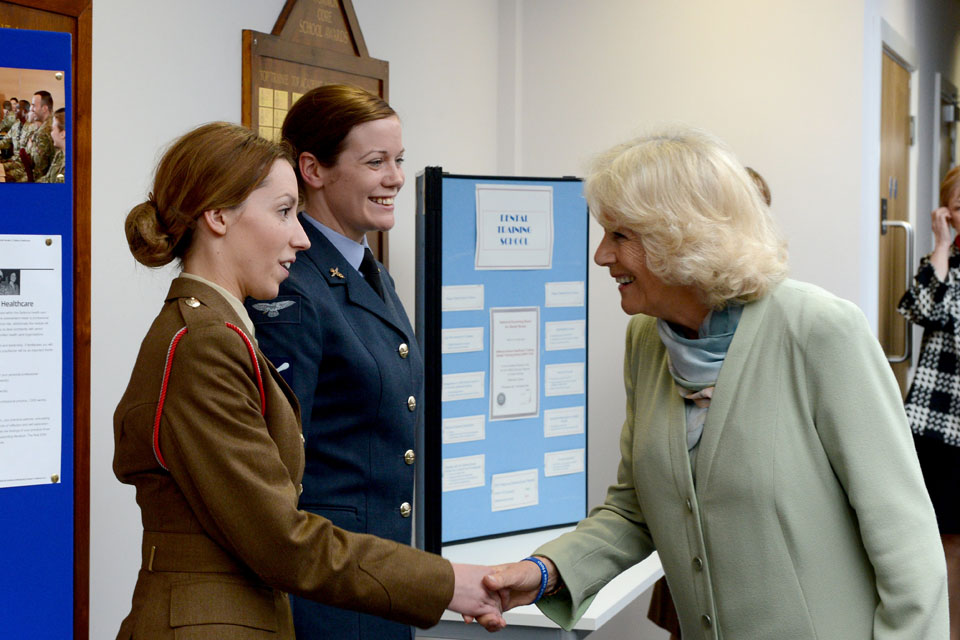 The Duchess of Cornwall meets medical staff 