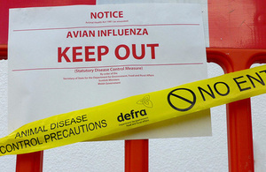 avian flu warning sign