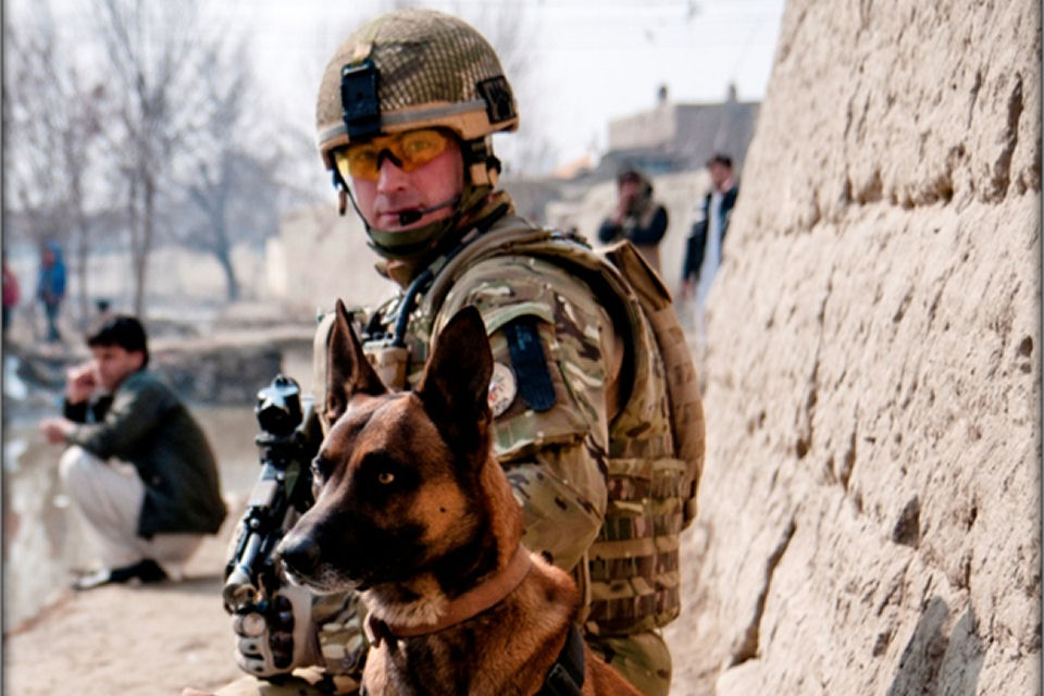 Military Working Dog and handler from 1st Military Working Dog Regiment